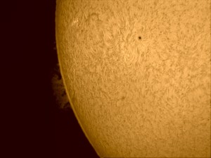 sun-11-05-19-12-55-41с.jpg