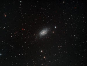 NGC2403-001-LRGB-sm.jpg