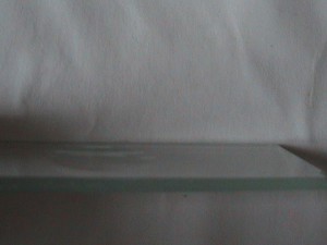 DSC00420.JPG