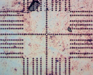 40x0.60 лм3.JPG