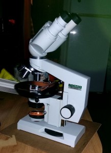 20151129_0209232.jpg