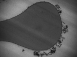 p020_1_15.jpg