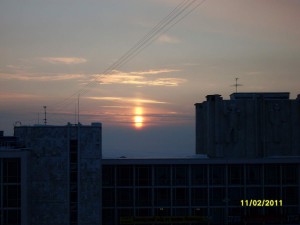 SDC14556_.JPG