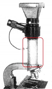 MFN-7.jpg