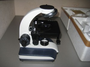 IMG_6448.JPG