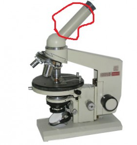 shop_items_catalog_image1552.jpg