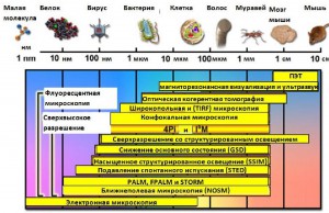 микроскопия.jpg