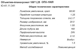 100x.JPG