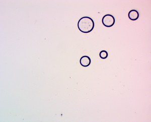 10x0.30 лм2.JPG