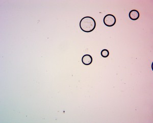 10x0.25 кит2.JPG
