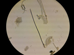 Копия 27022016876.JPG