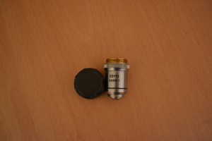 DSC_0081.JPG