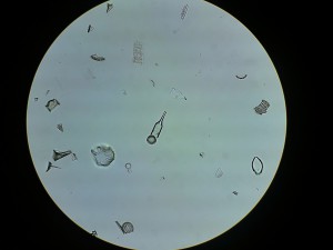 Копия 18032016030.JPG