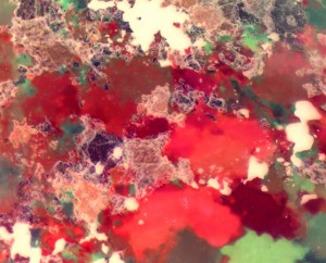 20x0.65 лм 1 pol.JPG