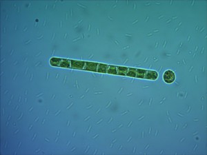 0515120905.jpg