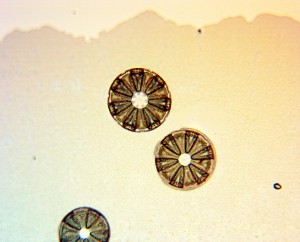 20x0.80 4.JPG