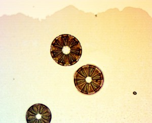 20x0.60 4.JPG