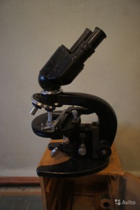 556495417.jpg