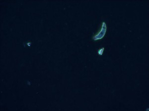 0517203418.jpg