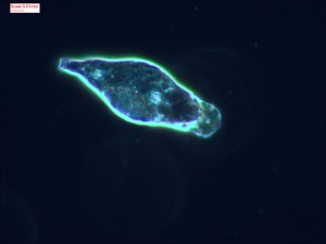 0519192807b.jpg