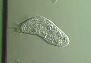 27052016261.JPG