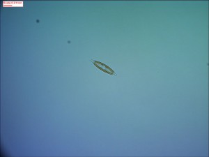 0521174259.jpg