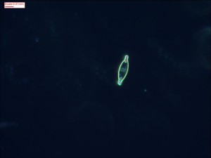 0521184409.jpg