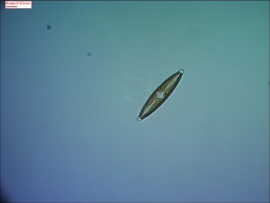0521173838.jpg