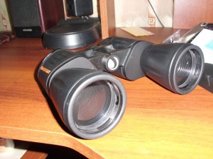 IMG_0231.jpg