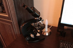 IMG_1950.JPG