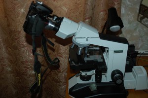 DSC_2909.jpg-0.jpg