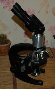 DSC_2945.jpg-1.jpg