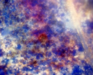 20х0.65 лм 2.JPG