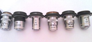20112016498.JPG