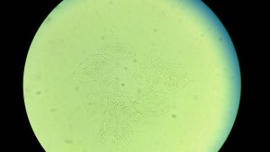 IMG_20161204_033058.JPG