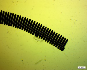 IMG-2017-01-07-18-37-34.jpg