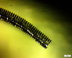 IMG-2017-01-07-19-17-32.jpg