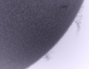 video011-07-24-12-29-59z.jpg