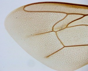 IMG-2017-01-21-02-24-15.jpg