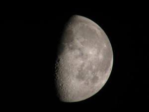 IMG_4008.jpg