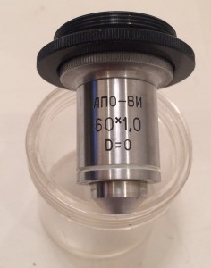70191.JPG