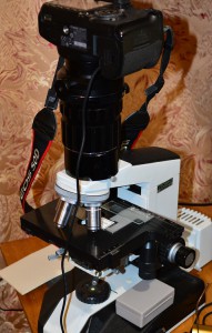 DSC_1658-1.jpg