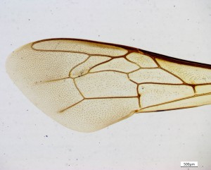 IMG-2017-02-18-02-20-44.jpg