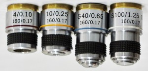 3158212386.jpg
