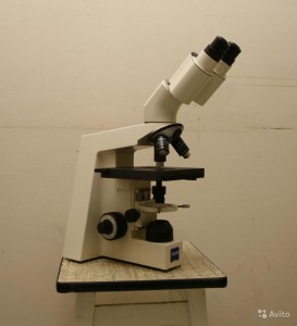 3391722089.jpg