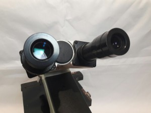 ucwPwK8CDGM.jpg