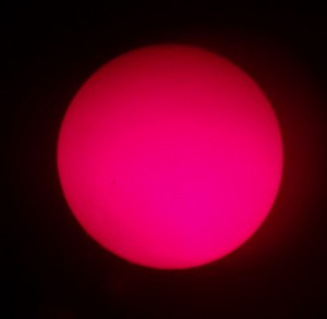 DSC02196z.jpg