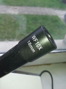 wHIyq1A9sRs.jpg