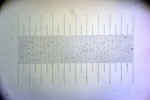 periplan GF16x.JPG