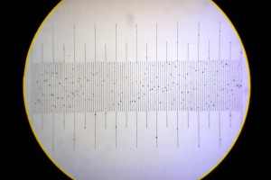 K15x.JPG